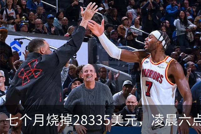 七个月烧掉28335美元，凌晨六点前的工具调用只有0.7%